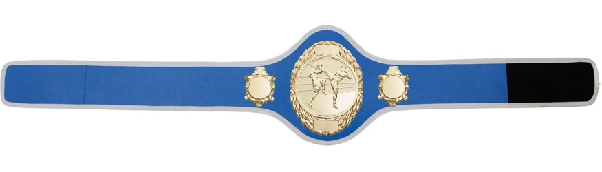 THAI BOXING CHAMPIONSHIP BELT-PRO286/G/TBOG-10+ COLOURS